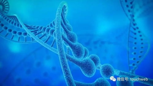 加立生物沖刺港股 9個月虧損4433萬，林帝邦為大股東，生物技術開發成焦點